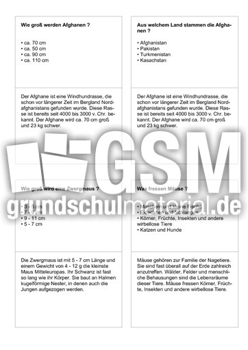 Säugetiere 01.pdf